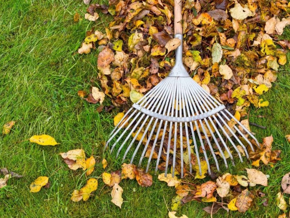 Professional lawn mowing service in Central NJ — Razor Cut Lawn Care